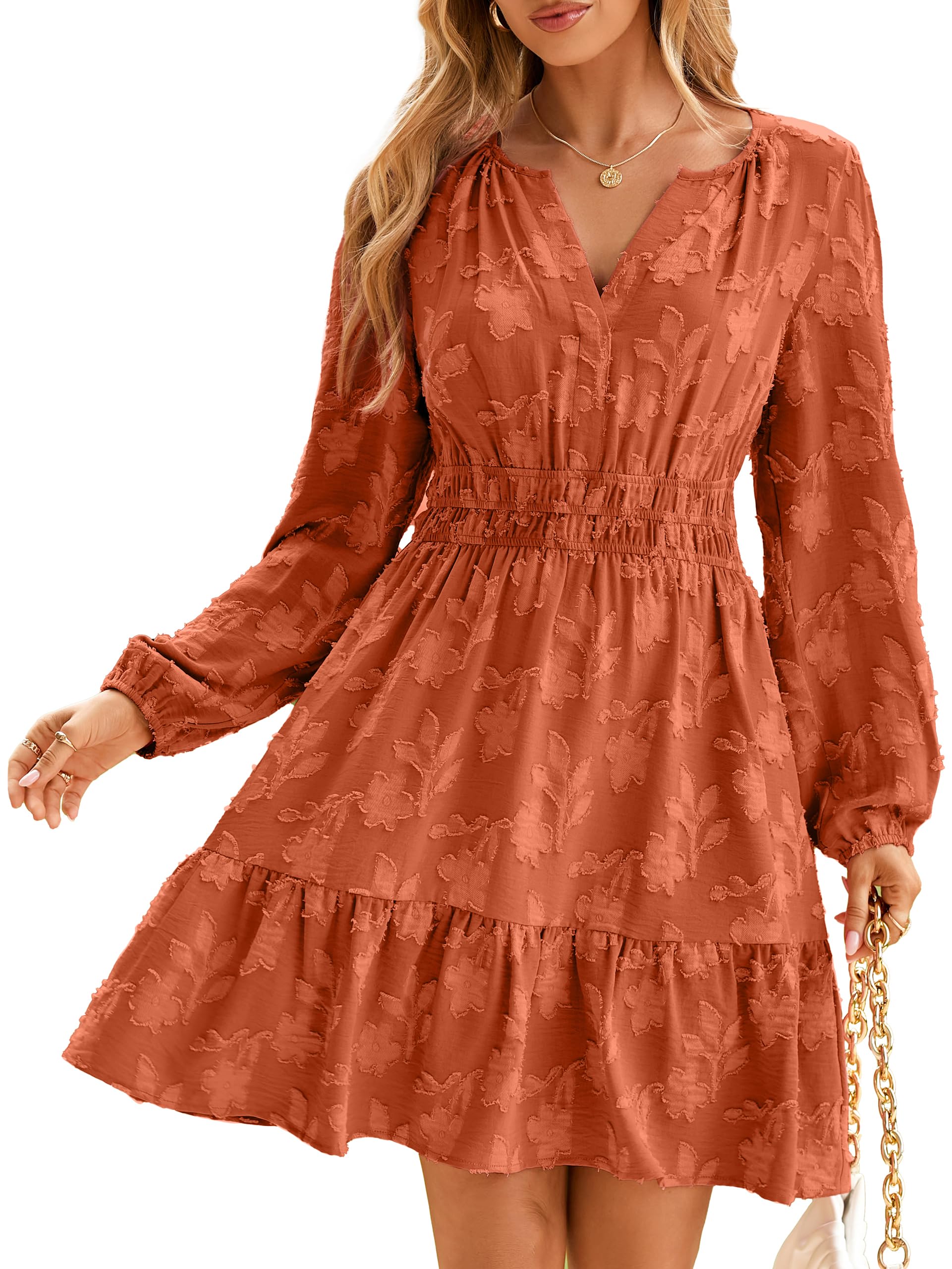 BerryGo Womens Long Sleeve Mini Dress Casual A Line Flowy Loose Vacation Party