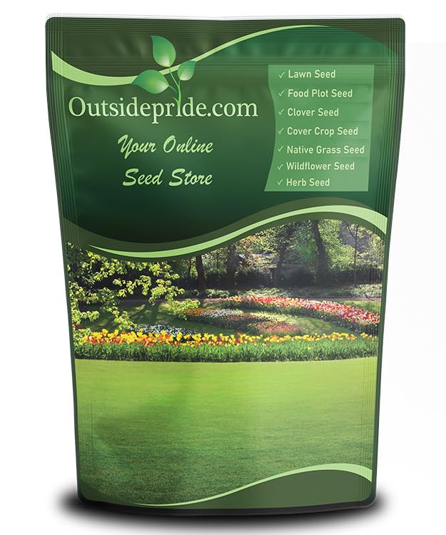 Outsidepride Creeping Red Fescue Grass Seed